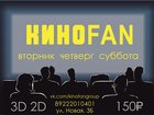    FAN 33085953  
