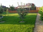 Увидеть изображение Разные услуги Посадка сада в Белгороде на вашем участке 68602539 в Белгороде