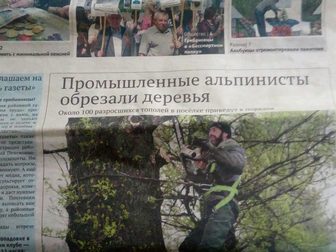 Свежее foto  Спил аварийных опасных деревьев 66237278 в Белгороде