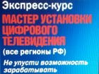        38512654  