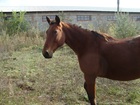  foto     37825193  