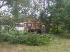 Увидеть foto Другие строительные услуги Расчистка участка от травы, деревьев, кустов, вывоз мусора 69529613 в Коломне