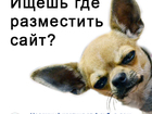     ,   33036767  --