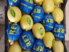 Скачать foto  Продам лимон производство Турция 40582314 в Новороссийске