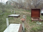Свежее фото Разное продам погреб/овощехранилище 35356752 в Красноярске