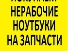           ,  37516951  