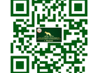         38007949  