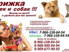  foto     ,   ,          38138853  