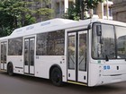 foto    5299-30-31 39141000   