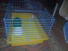 Скачать бесплатно фото  Продам клетку для декаротивного кролика 34087068 в Курске