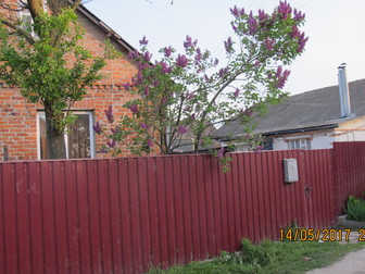 Скачать изображение Иногородний обмен
 Дом в Ромнах на квартиру в Курске 69183306 в Курске