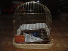  foto    ! 34902350  