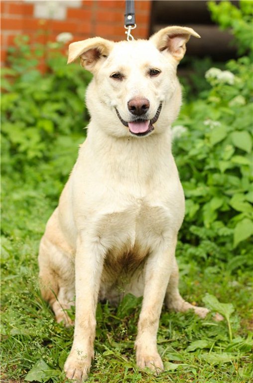 Уход и обслуживание