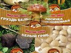 Уникальное изображение Разное Продаю мицелий (семена) грибов, 14 сортов 32376144 в Москве
