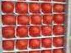 Увидеть foto  Реализуем помидоры узбекские (Пинк Парадайз) - самые сладкие помидоры оптом, 43275346 в Москве