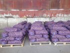  foto      67788063  