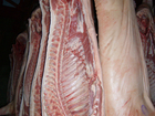 Скачать изображение  Мясо свинины оптом, Ферма в Брянской области, Доставка, 68358701 в Брянске