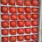 Реализуем помидоры узбекские (Пинк Парадайз) - самые сладкие помидоры оптом