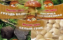 Продаю мицелий (семена) грибов, 14 сортов