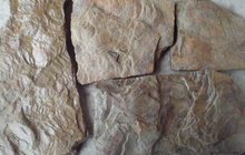 Камень натуральный Дракон пластушка песчаник