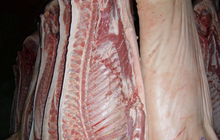 Мясо свинины оптом, Ферма в Брянской области, Доставка