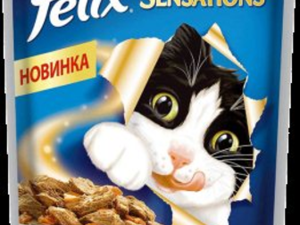 Новое изображение Корм для животных Корм для кошек 32603517 в Москве