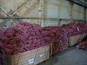 Свежее foto  Продается картофель оптом 5+ 6+ , фермерское хоз-во напрямую от производ, 38216726 в Магадане