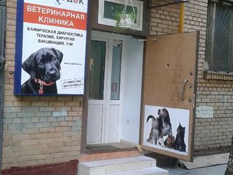 Увидеть изображение  Ветеринарная клиника МобиДок, Ветаптека, 38336318 в Москве
