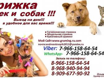 Скачать бесплатно foto Разное Услуга Стрижка кошек и собак выезд на дом, ВЫЗОВ НА ДОМ МАСТЕРА,ЗООСАЛОН ,ГРУМИНГ ЖИВОТНЫХ, МОСКВА И МОСКОВСКАЯ ОБЛАСТЬ 46744381 в Москве