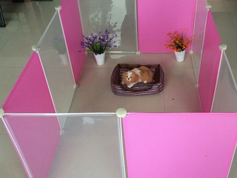 Увидеть foto  Товары для кошек: манеж для котят и коврик под туалет 53834979 в Москве