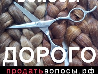 Скачать фотографию Косметические услуги Дорого скупаем волосы в Мурманске 37638255 в Мурманске