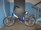       STELS PILOT 310 39672522   
