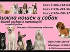                 37573653  