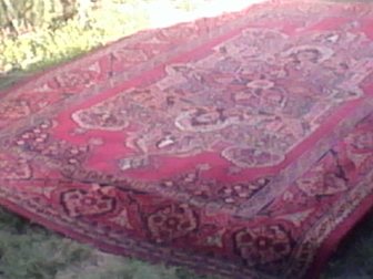 Свежее фотографию Ковры, ковровые покрытия шерстянной ковер 33237662 в Новокузнецке