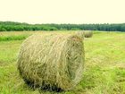 Скачать фото Корм для животных Продам сено в рулонах, Разнотравье, 33071008 в Новосибирске