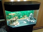 Увидеть фотографию Купить аквариум Аквариумы продам 33804629 в Новосибирске