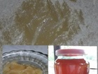 Скачать бесплатно фотографию  Продам алтайский мёд с таволги (лабазника), 44544801 в Новосибирске