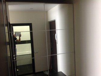        17 33979913  -