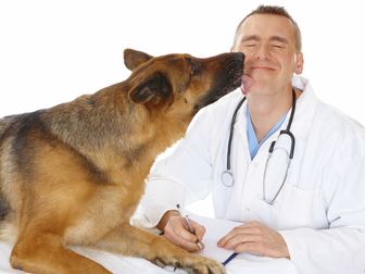 Свежее foto Лечение собак МобилВет 34979619 в Подольске