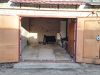   ,       38447729  