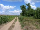  foto    :   64753131  
