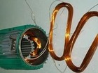  foto    69382280  