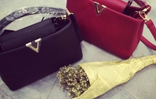Женская сумка Louis Vuitton capucines mini