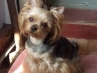  foto       40196153  