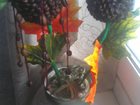 Свежее изображение Разное Топиарии-деревья счастья и свит дизайн, 32302359 в Сочи