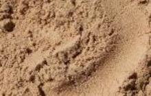 Песок мытый от компании «ГК Слон» по выгодным ценам