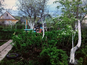Смотреть фото Сады Плодородный сад в очень хорошем месте за Булгаково на 39км 69899734 в Уфе