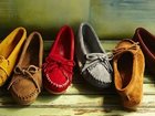  foto   MINNETONKA, ,    33411807  