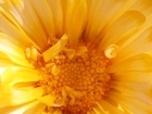  foto        37974296  