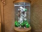 Смотреть изображение Аквариумы Шикарный аквариум Marvelous с большим цилиндром 42696243 в Воронеже